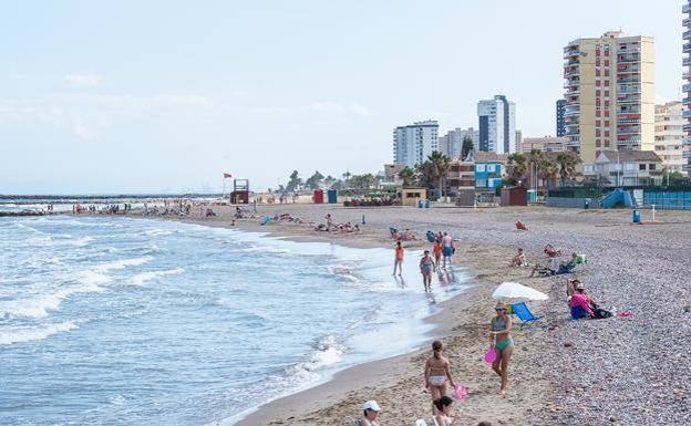 Un tiburón azul visita una de las playas de El Puig