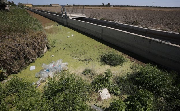 La Confederación asumirá las obras en la Albufera para impedir los vertidos