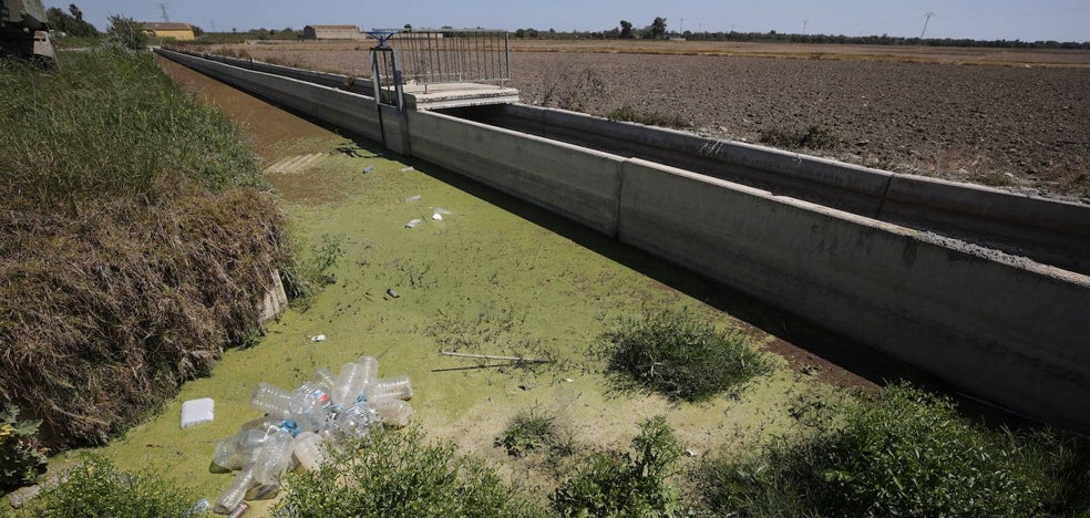 La Confederación asumirá las obras en la Albufera para impedir los vertidos - Vimarsana News