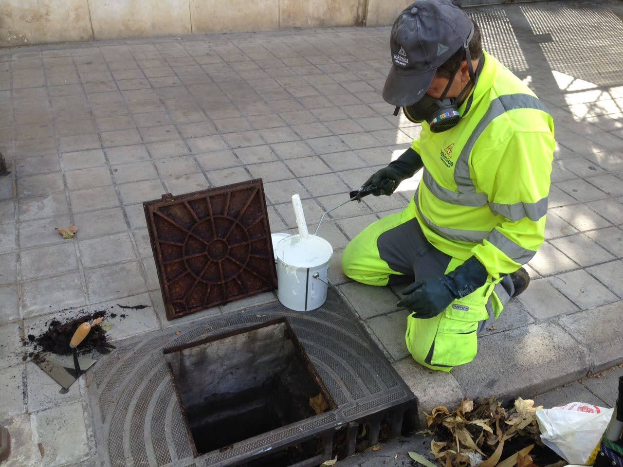Los 'no mosquitos' que molestan a todos en Valencia