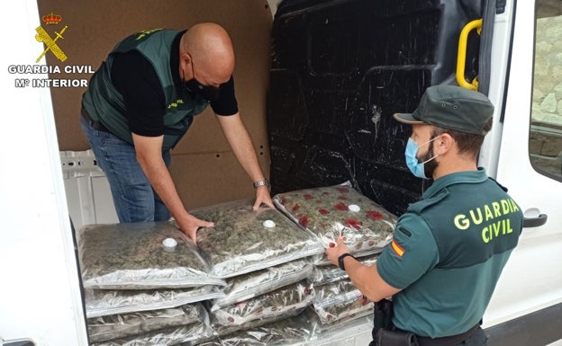 La Guardia Civil intercepta 22 kilos de cogollos de marihuana en una furgoneta en Monforte del Cid