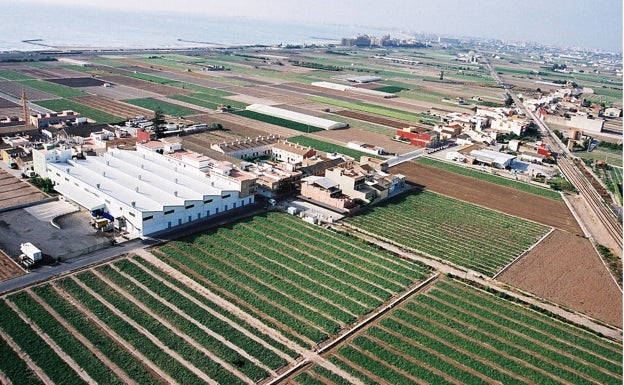 Foios crea ayudas a la agricultura de hasta 600 euros para combatir los efectos de la pandemia