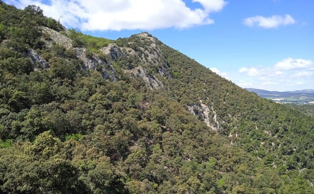 Alcoy recibe 7.500 euros para el Voluntariado Medioambiental que vigilará los montes durante el verano