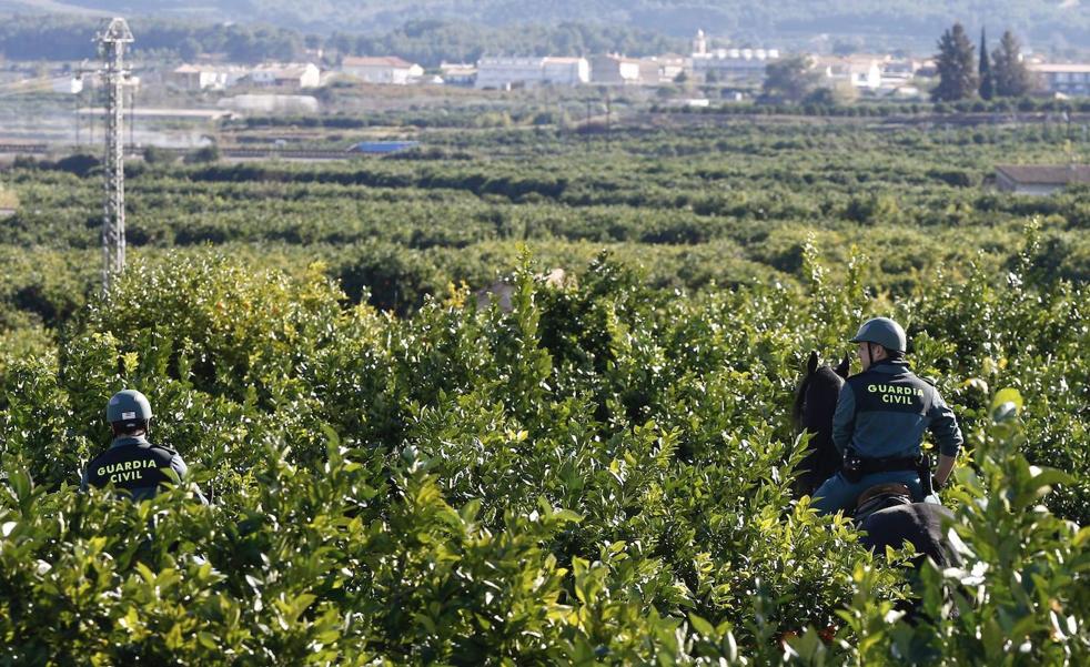 Detenido por matar de una cuchillada a un hombre en Torrella al que culpaba de intentar quemarle