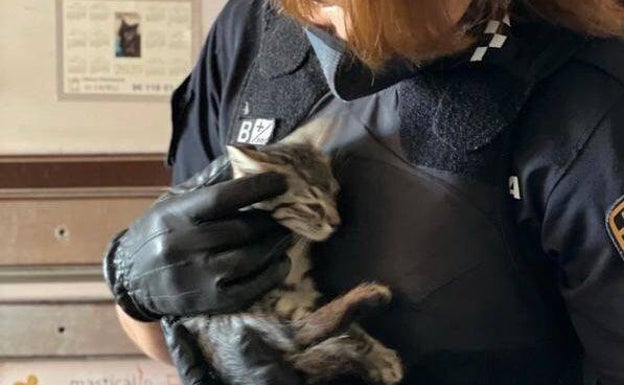 La Policía Local de Alaquàs rescata a cuatro animales abandonados en un inmueble del municipio