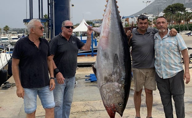 Capturan un atún de 220 kilos a 15 millas de la costa de Dénia