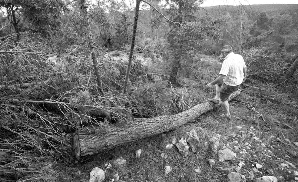 La lucha contra los incendios