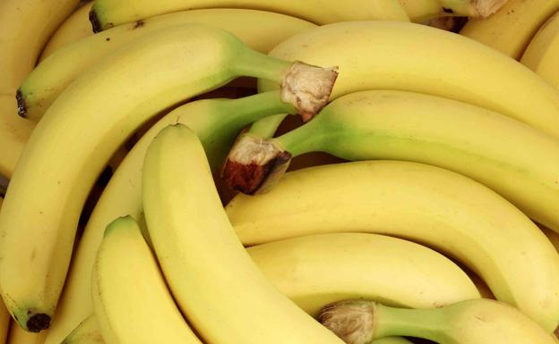 ¿Puede desaparecer el plátano de canarias?
