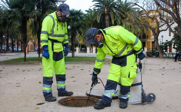 El Ayuntamiento de Valencia mantiene a raya a cucarachas y mosquitos