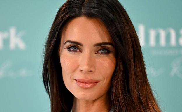 Así es el jet privado que utilizará Pilar Rubio para viajar de París a Madrid