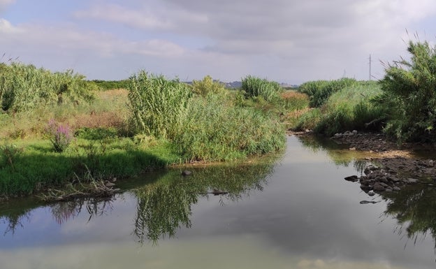 La reducción del caudal ecológico en el nuevo Plan Hidrológico pone en riesgo el río Albaida