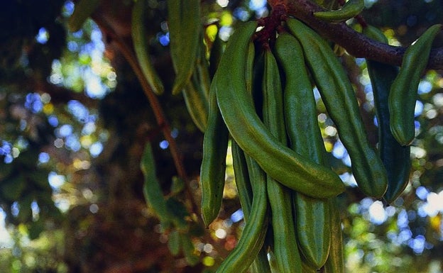 Las dos empresas de agricultura más sostenibles de España son valencianas