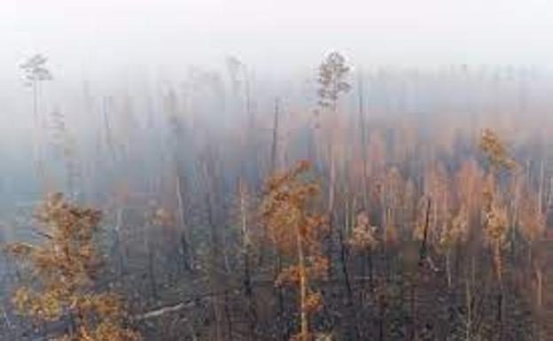 De nuevo fuertes incendios asolan Siberia