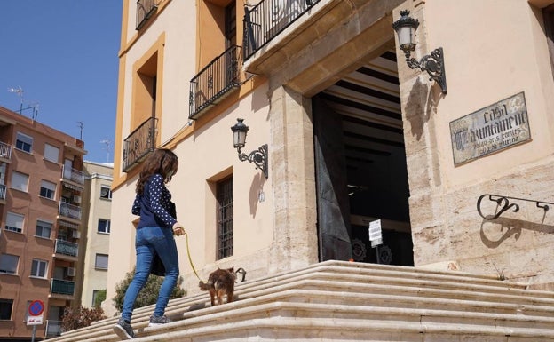 Más de 2.000 solicitudes en 20 días para registrar a las mascotas en el censo canino de ADN de Paterna