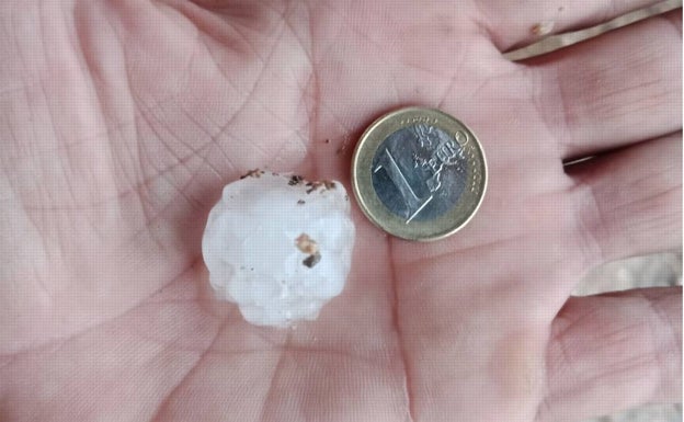 La uva de mesa del Medio Vinalopó, la más afectada tras el temporal de lluvia y granizo del lunes