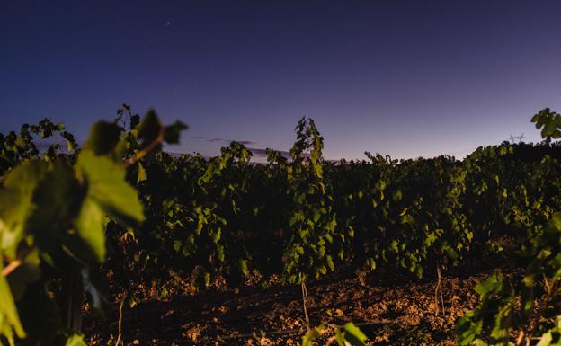 Cata de las Estrellas en Bodegas Nodus