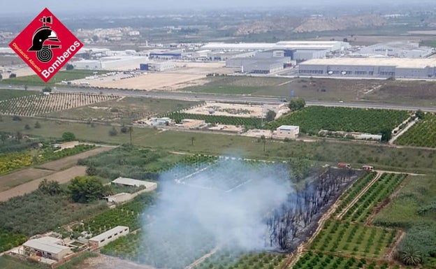 Los bomberos intervienen en un incendio de palmera y matorral en la A-7 a la altura de Albatera