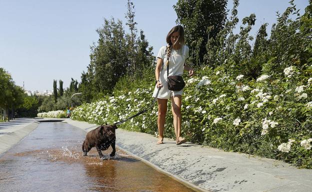 Aemet activa la alerta por altas temperaturas en Valencia y Alicante, que alcanzarán los 38 grados