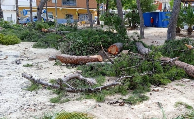 Polémica vecinal en Picassent por la tala de los árboles del parque de la Ermita