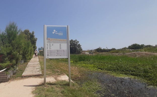 Oliva renueva los accesos a los nueve kilómetros de playas con cartelería adaptada