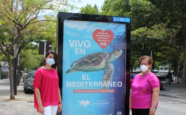 Campaña de concienciación en Oliva para proteger a las tortugas