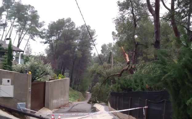 Agullent invertirá 351.000 euros en reparar los desperfectos del temporal Gloria