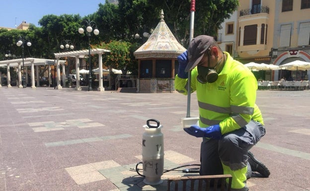 Nuevo tratamiento contra el mosquito tigre en Alzira