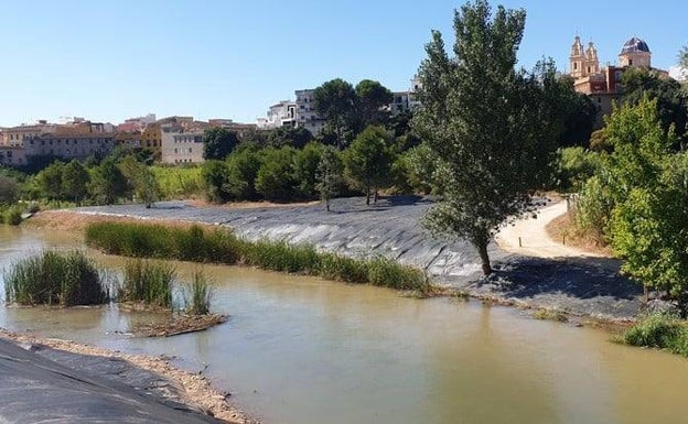 Riba-roja inicia la eliminación de cañas en 80 hectáreas del río Turia para crear un parque botánico