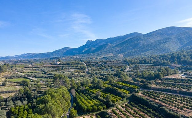 La Confederación aprueba actuaciones de mantenimiento y conservación en cinco cauces de la Vall, la Canal y la Costera