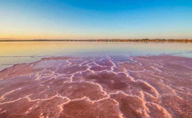 La vía verde de Torrevieja, una ruta de senderismo por la laguna rosa