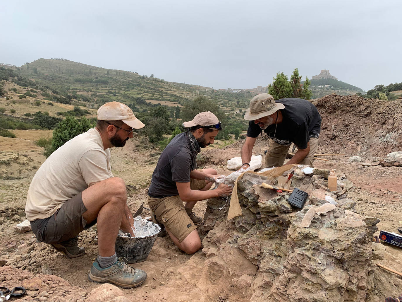 Hallan huesos y huellas de dinosaurios saurópodos en un yacimiento valenciano