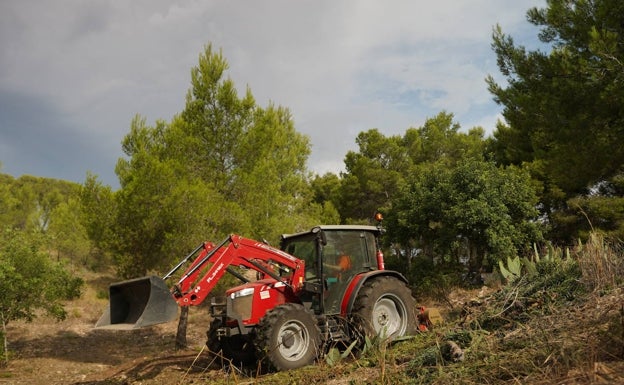 Paterna blinda contra incendios La Vallesa con trabajos de poda, desbroce y clareos