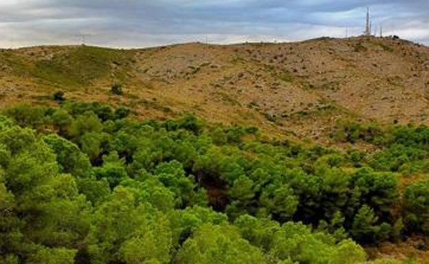 Limitan el acceso a la Serra Perenxisa y a la zona boscosa del Vedat de Torrent por la ola de calor