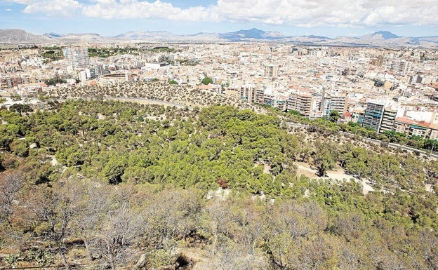 Alicante cierra los parques forestales de Serra Grossa y Monte Orgegia por el elevado riesgo de incendio