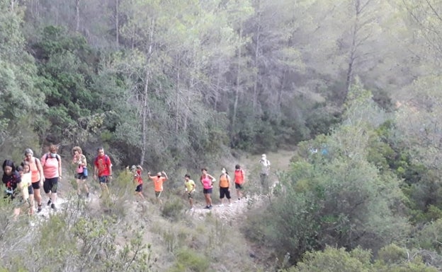 L'Olleria cierra las áreas recreativas del Rodat y el Heretat del Salido por el riesgo de incendio