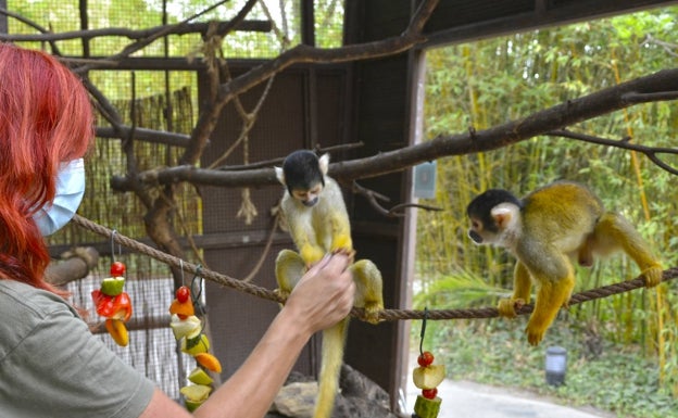 Terra Natura activa el protocolo de prevención para los animales contra la ola de calor