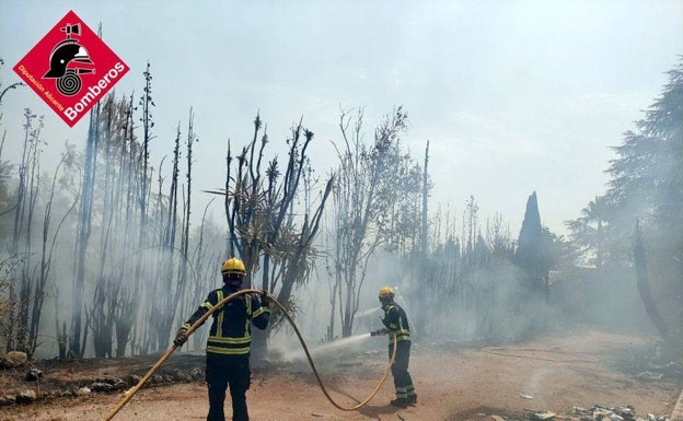 Una valla con cipreses incendia el cableado eléctrico y se expande a una pinada en Muro