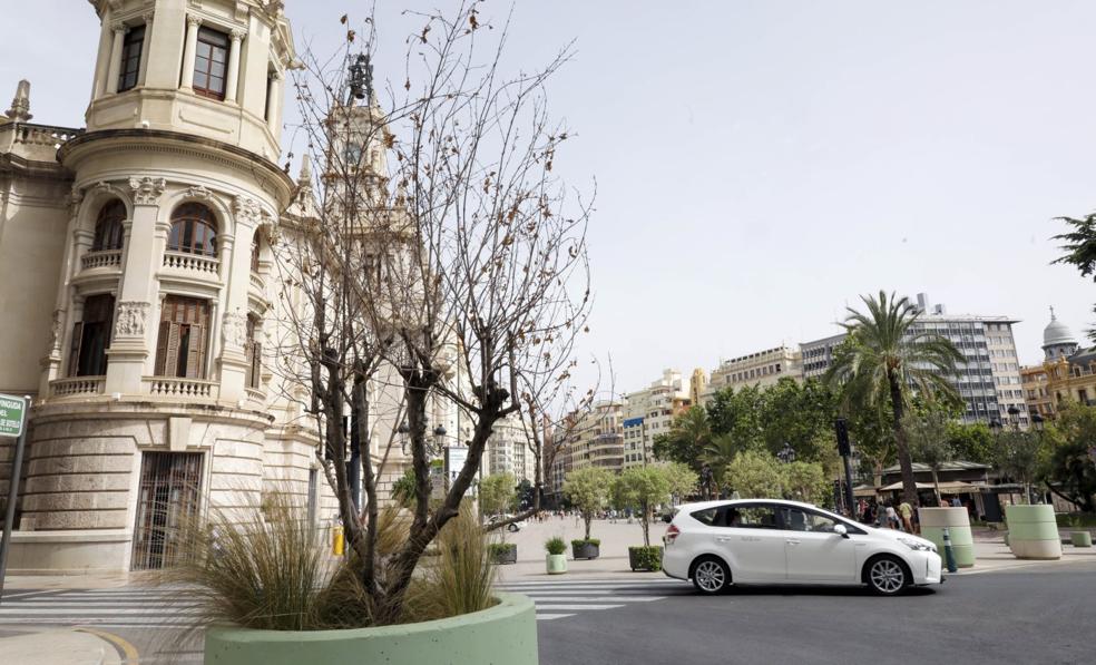 Botellón, suciedad, vandalismo y plantas secas en la 'Plaza Roja' de Valencia