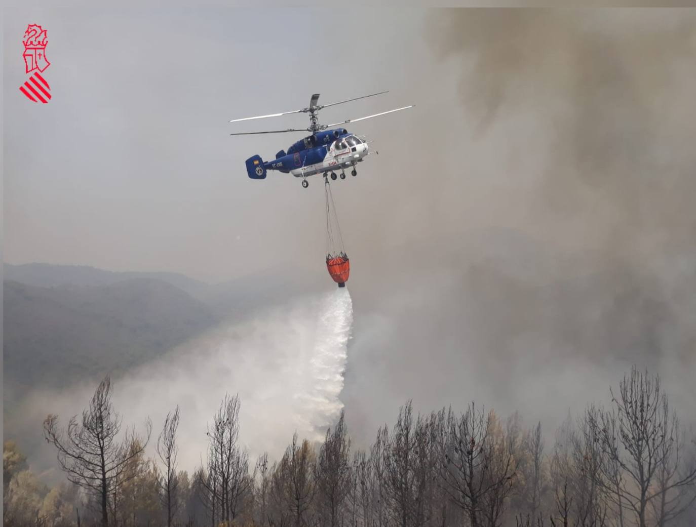 El fuego arrasa en Azuébar