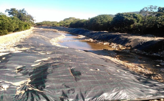 La Confederación invierte más de un millón en la recuperación del bosque de ribera en el río Vaca