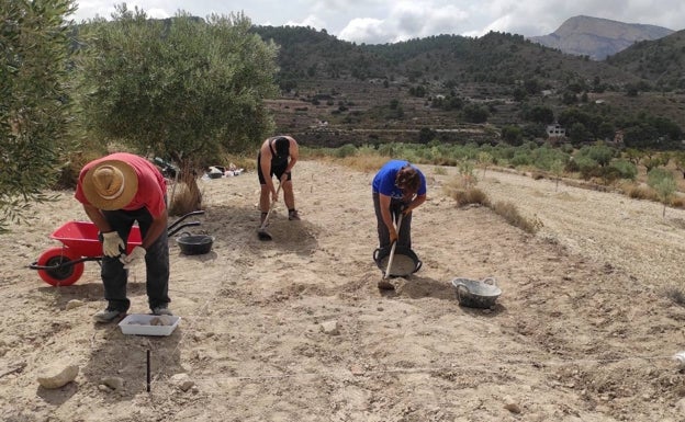 Encuentran en Petrer muros de una alquería islámica de la Edad Media