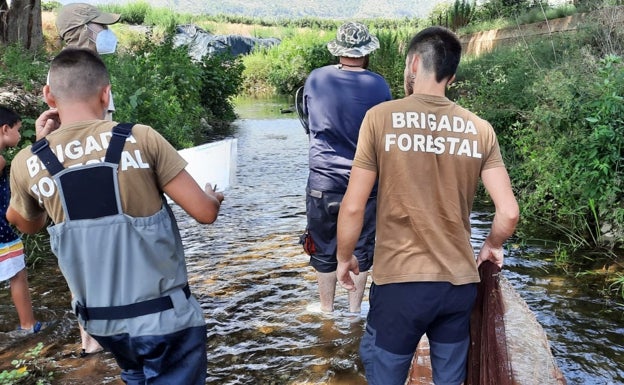 La tortuga leprosa vuelve al río Vaca