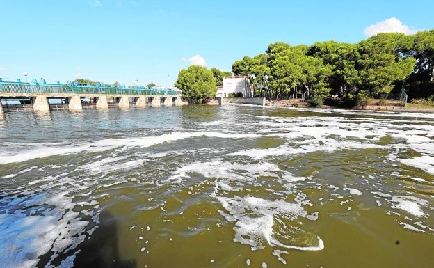 La DANA deja al borde del desastre los arrozales de la Albufera