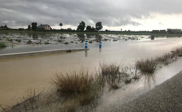 Asaja alerta del peligroso estado del cauce viejo del Segura en temporada de gota fría