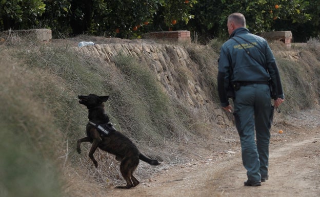 Un hombre degüella a su mujer en La Vila Joiosa y se suicida tirándose por un puente