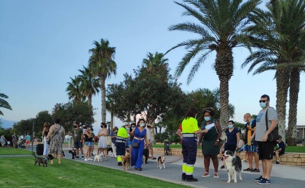 Canet acoge el primer concurso canino nacional tras la pandemia