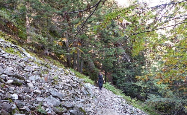 Muere un senderista valenciano después de caer por un barranco en Lleida