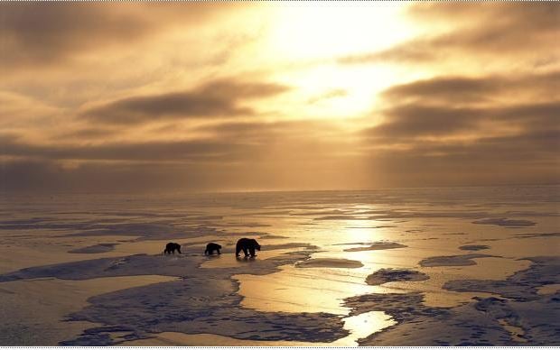 Cuidado del medioambiente: cinco prácticas para mitigar los efectos del calentamiento global