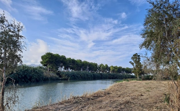 Sueca retira las cañas de la zona del azud