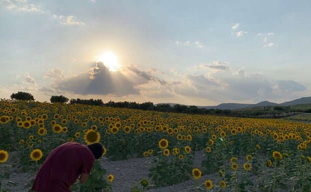 Turisme La Costera promocionará los municipios de la comarca con vídeos promocionales